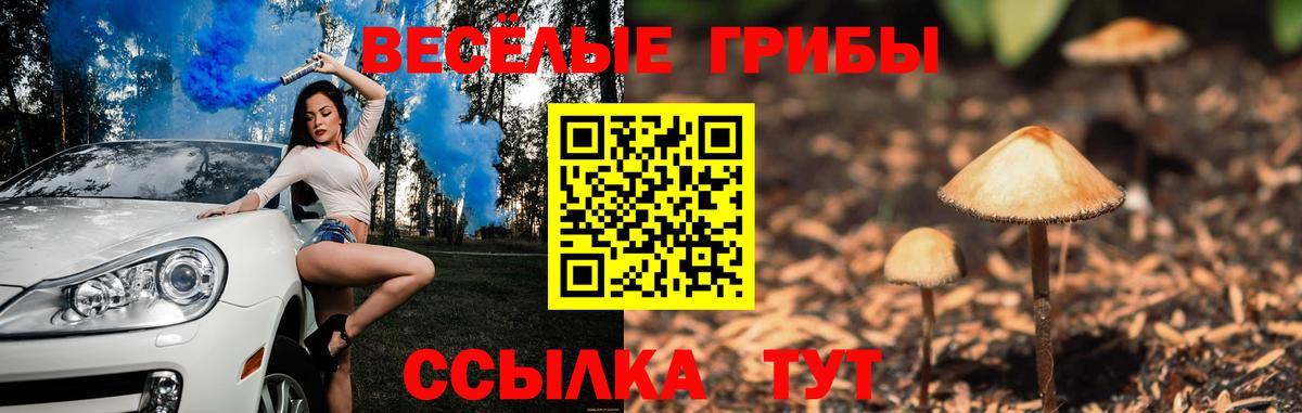 Галлюциногенные грибы MAGIC MUSHROOMS  Вход с VPN  Галлюциногенные грибы MAGIC MUSHROOMS  Ахтубинск 
